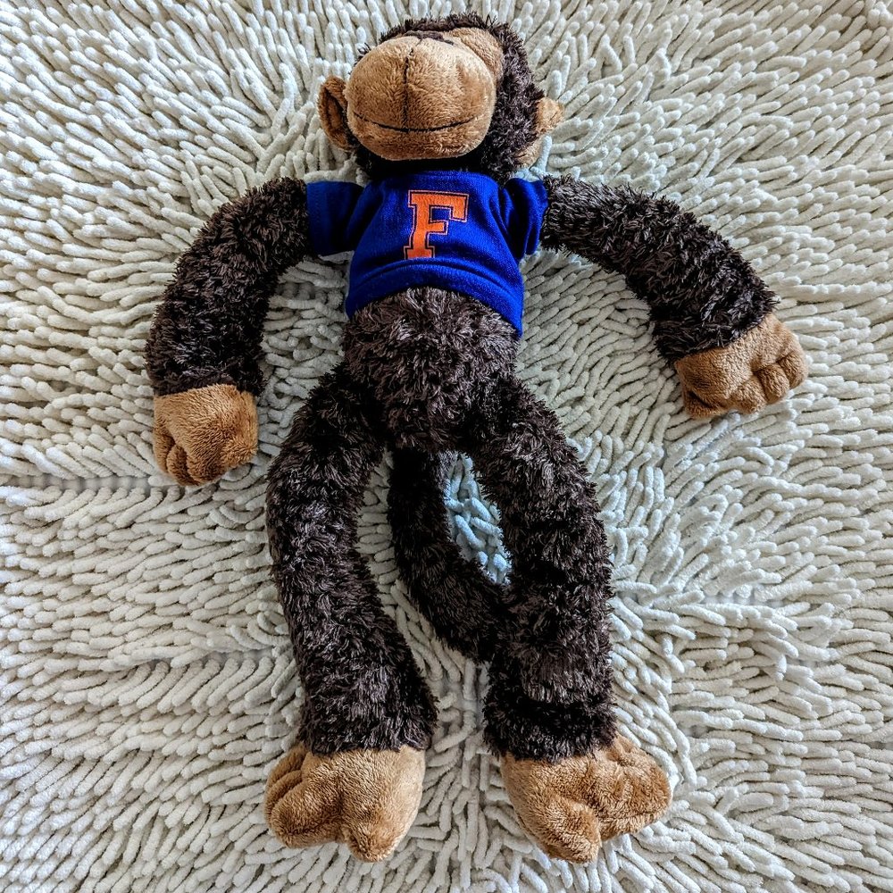 It's All Greek To Me  Florida Gator Monkey